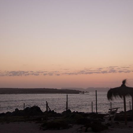 Vila Refugio Humboldt Punta de Choros Exteriér fotografie
