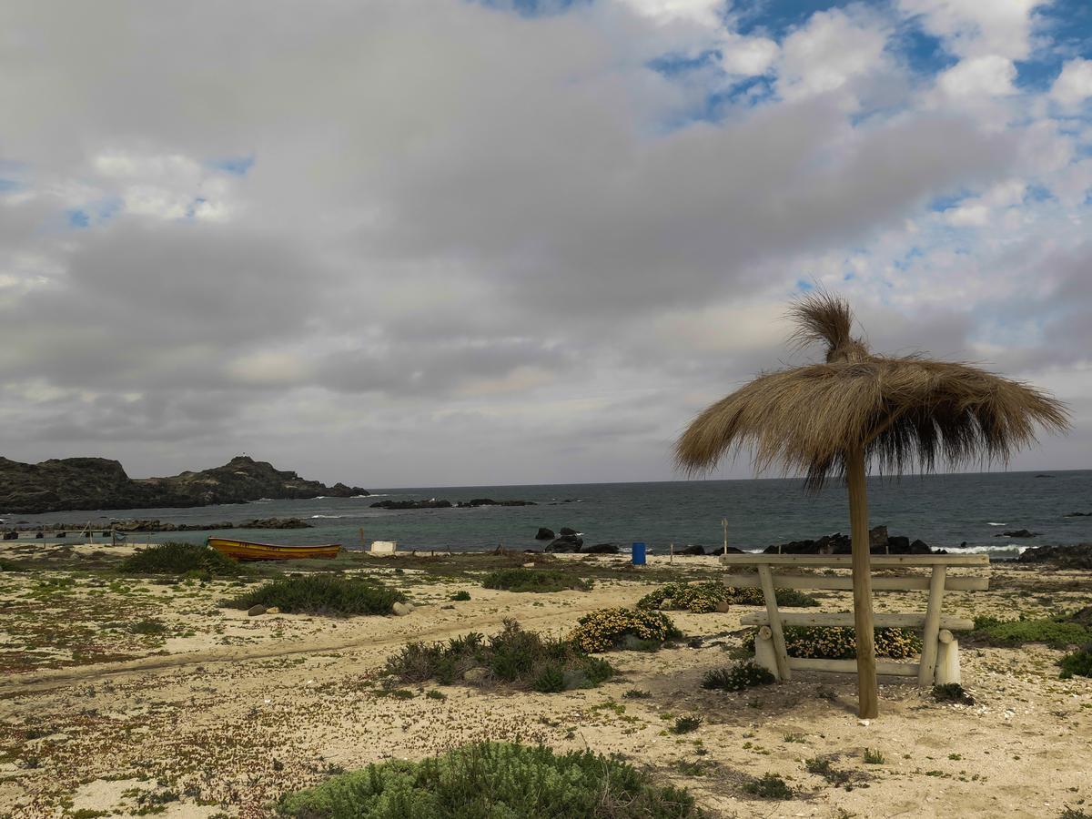 Vila Refugio Humboldt Punta de Choros Exteriér fotografie