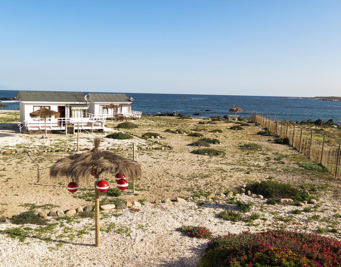 Vila Refugio Humboldt Punta de Choros Exteriér fotografie